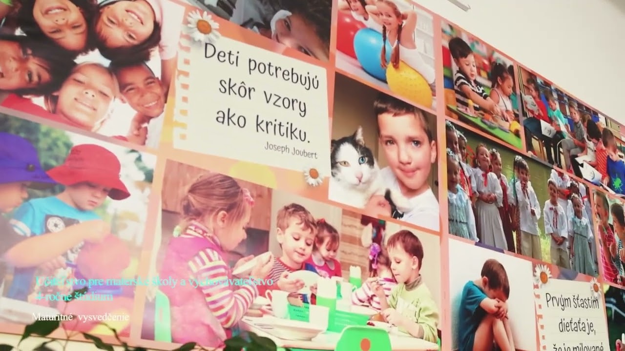 Naše odbory
