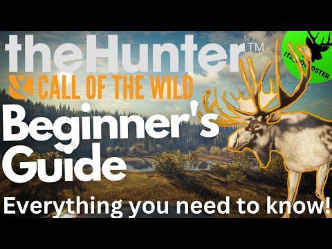 ULTIMATE BEGINNER'S GUIDE 2024!! (Updated!!!) | theHunter Call of the Wild