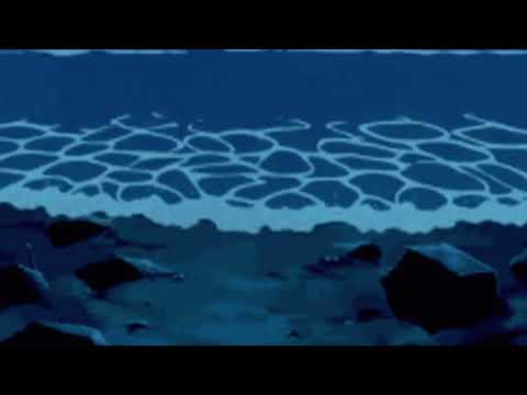 Pokémon Black / White - Undella town (Spring / Autumn / Winter) {Slowed}