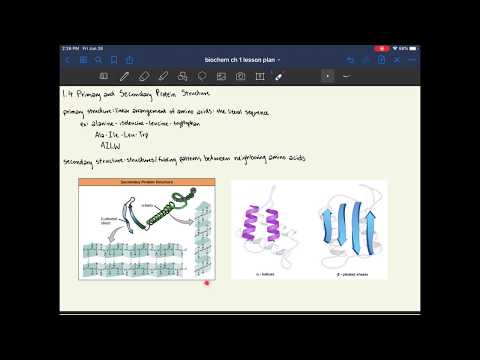 MCAT Biochemistry Chapter 1: Amino Acids, Peptides and Proteins