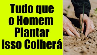 Lei da Semeadura  Porque tudo o que o homem semear, isso tambm ceifar  Glatas 6 - 7