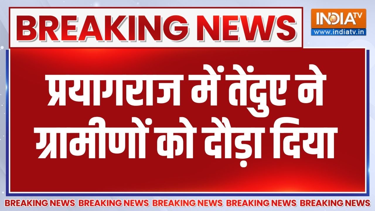 Breaking News: प्रयागराज में तेंदुए ने ग्रामीणों को दौड़ा दिय?
