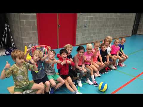 Volleybalclub Sveka Schoten