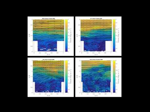 Sparse Organized Canopy Stereoscopic PIV
