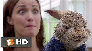 Peter Rabbit (2018) - Skirmish In The Studio Scene (5/10) | Movieclips