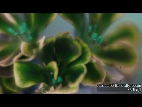 [FREE] “SOLACE” . Bladee type beat x flume type beat ~ feaji