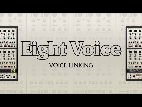 Voice Linking For Fast Patch Design | Cherry Audio Eight Voice