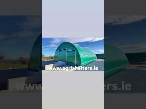 Animal Shelter's - Image 2