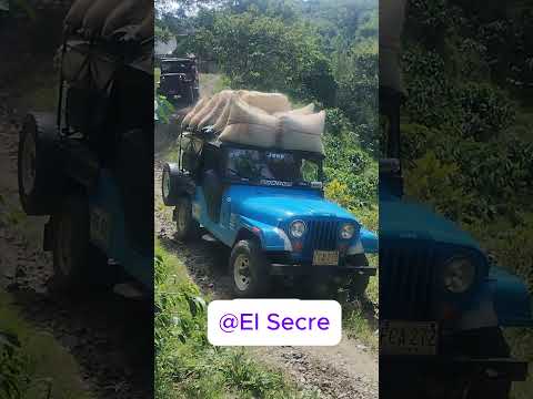 ¿Cuántos kilos de café cree usted que llevan estos dos guerreros de la montaña? Santuario Risaralda