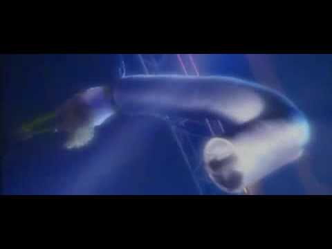 Sensation White Trailer 2009 (Dj Reesky)