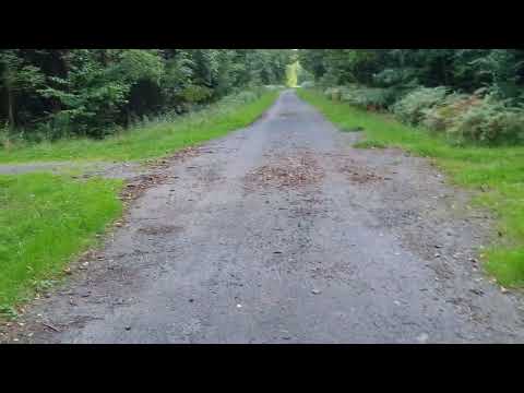 Fortsetzung,  Hitlers vergessene Ehmalige Reichsautobahn 24 bei Resse , mit kleiner Überraschung