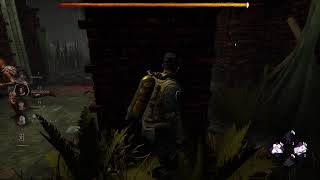 【DbD】台風につき新パーク揃えてく【PS5】