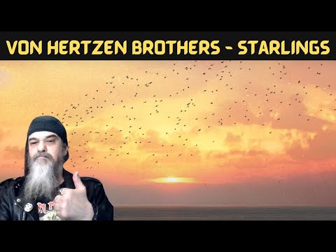 Metal Dude * Musician (REACTION) - Von Hertzen Brothers - "Starlings"