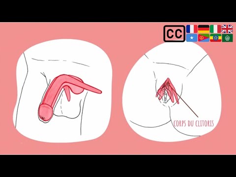 Génitalia - Sexe, anatomie et diversité