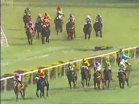 The Anzello Handicap  WINNER DANCING PRINCE