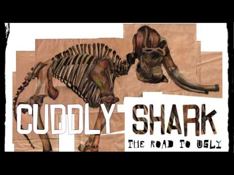 05. Cuddly Shark - Body Mass Index