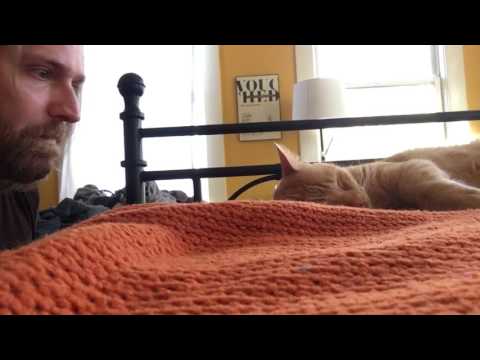 WATCH VIDEO: This Guy Is A Hero To Anyone Who’s Lost Sleep Because Of A Cat