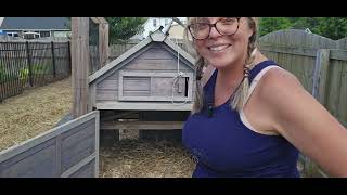 Healthy Chickens Start With This Simple Step
