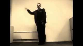 RandomDance (Scarlet Pleasure - Heat)