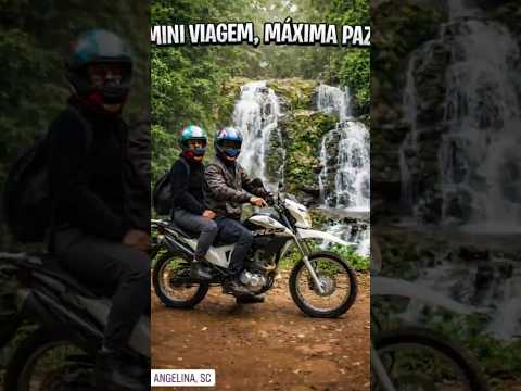 ANGELINA-SC💚🏕#youtubeshorts #cupcut #videoviral #comedia #aventuramisteriosa