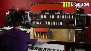 Video thumbnail for Arturia Vox Continental V by muzykujkropkacom