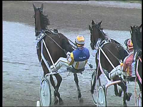 Trotto 15/10/2015 - 4° corsa