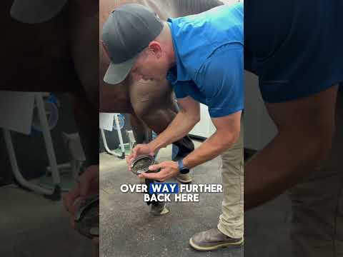 Backwards Shoe for Tendon Relief — Corrective Shoeing Case