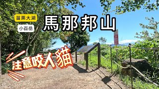 小百岳 馬那邦山 秋日賞楓勝地 遠眺聖稜線 珠湖登山口有很多咬人貓