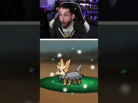 Longest Shiny Hunt Ever, Pokémon Black