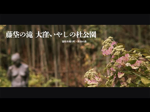 藤垈の滝 大窪いやしの杜公園（replacement version）