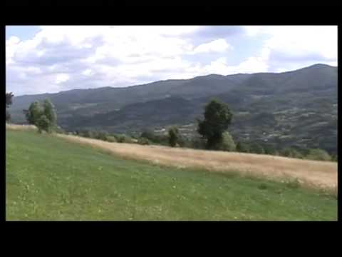 video clip Ibanesti Padure valea Gurghiului