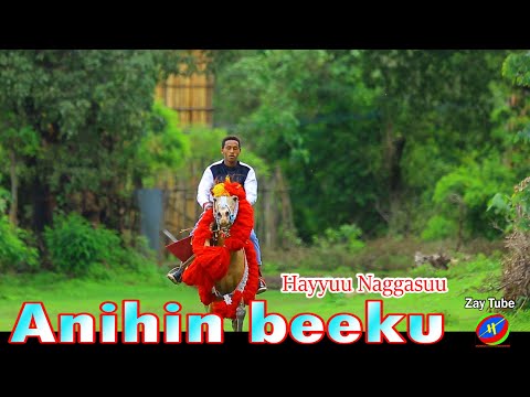 Hayyuu Naggasuu - Anihin beeku - New Ethiopian Oromo Cultural music - 2022