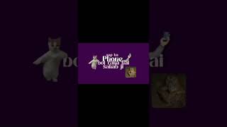 Download lagu special ringtone for mobile #ringtone 🤣 mp3