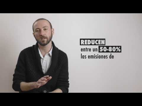 Videos from Sustain Awards