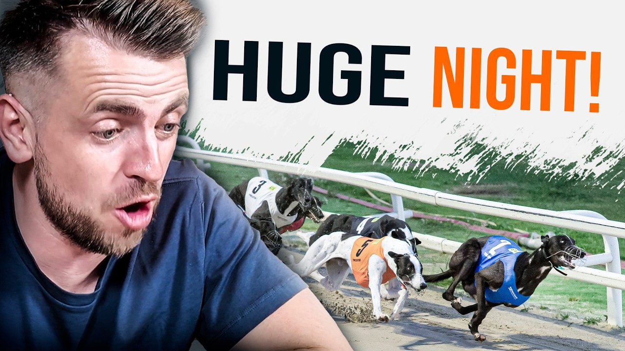 The MOST BETS I've Ever Placed In A Night! A Betting Marathon!