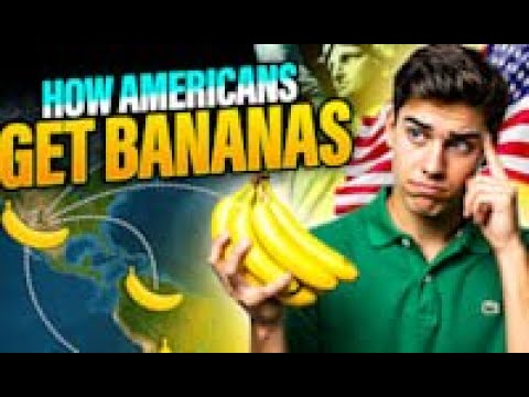 The Logistics Of How Americans Get Bananas