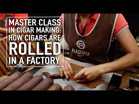 Master Class in Cigar Making: How Cigars Are Rolled In A Factory