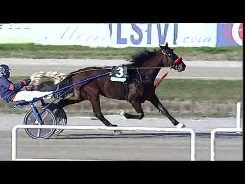 Napoli Trotto 29/01/2023 - 4ª corsa