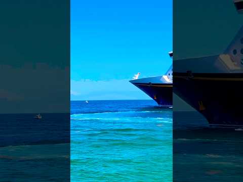 Thumbnail for Disney Dream 🛳️#like #share #comment #subscribe #cruiseship #cruise #vacation #shorts #short #video