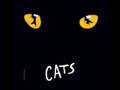 Erinnerung - Cats - Angelika Milster 