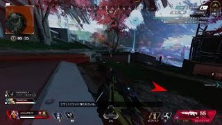 【Apex】うわああああああ！！！