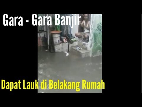 BANJIR MEMBAWA BERKAH | BANJIR jadi Berkah Malah Jadi Laukk