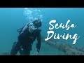 Check Out The Best Dive Sites In The Florida Gulf Coast