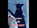 Larry Vs Evil Larry Cats Memes Larry Evillarry Shorts