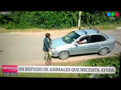 Robertito Funes atacado por perros en vivo parte 1