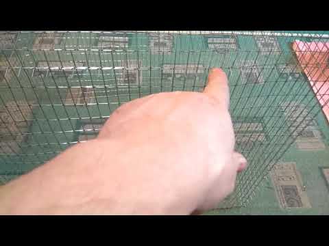 Амадины , Клетка для птиц своими руками часть 1