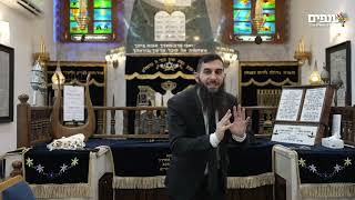 סוף שיעור הבשורה הכי משמחת שיש ! - הרב גבע בן ששון (ארגון ענפים) - התמונה מוצגת ישירות מתוך אתר האינטרנט יוטיוב. זכויות היוצרים בתמונה שייכות ליוצרה. קישור קרדיט למקור התוכן נמצא בתוך דף הסרטון