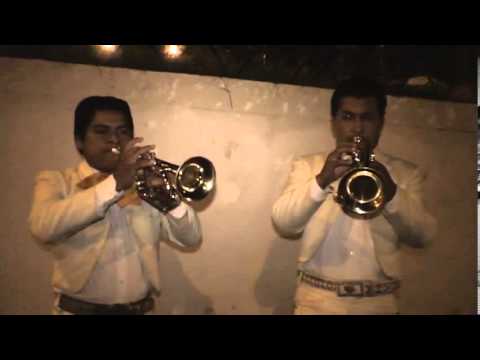 Estos celos (Mariachi Tierra del Sol)