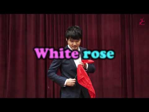 Color Changing Rose by JL Magic