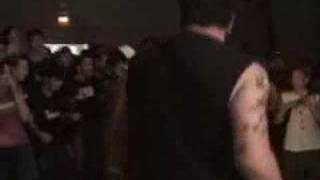 "The Reason" Tortoise